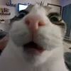 userc0icn7p8tk