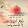 hayatethhayat6