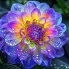 tnyc_7