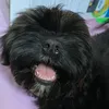 m.aaaeee