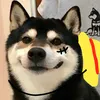 punpun_wuuu