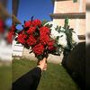 amnaashfaq431