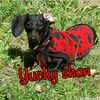yuckyshan68