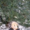 fazyz_