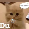 chutienthanh11