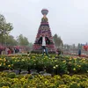 hieucong195