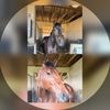 jules._equestrian