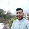 hamzahabib322