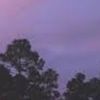 .asethetics._.bliss