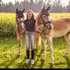 equestrian_jenny_