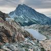 _mountainhoney