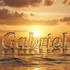 gabrieldejesus137