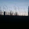 papillon.paysage