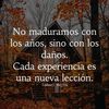 92mlq