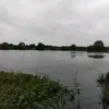 jayl_437