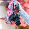 سارونsaron_photographer