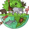 biologia081