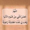 wafaasaleh16