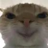 220214kk