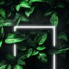 zack_0247