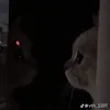isvwgj