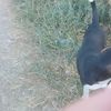 juliethcnc2