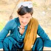 qahirpattan2