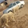 user0331159397