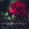 jaffarbaloch799
