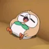owl_lover06