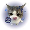 user3210449622933