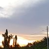 maxx_0178