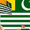 liaqatbashir568