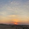_sx7al7