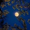 sajida_ishaque28