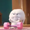 chanhnguyn374