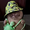 rolimester124
