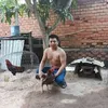 ngangiang66