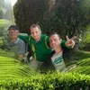 user524206261