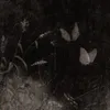 ghost23411