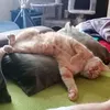 irgendwie.so7
