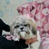elainevalentim01
