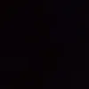 zaara7980