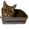 catballs69420