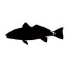 Fishing videos!