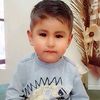 alan3806768