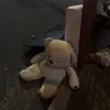 diva_cat8