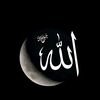 senja_qquotes