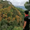 dairaymond