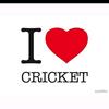 cricketlaver3